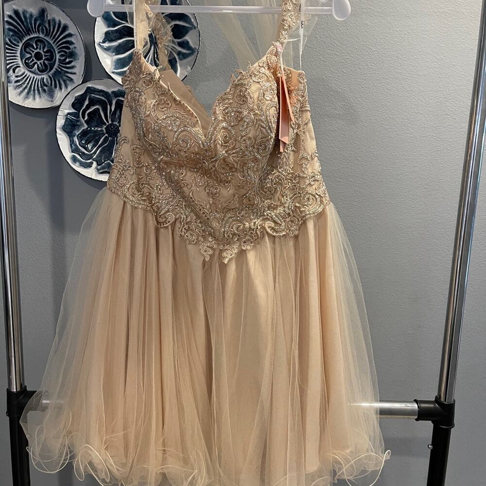 Elizabeth K GS1966 dress SIZE XL